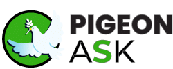 Pigeon-Ask-Logo-Black-01