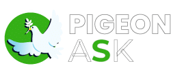 Pigeon-Ask-Logo-White-02