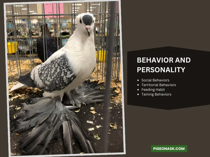 Behavior and Personality