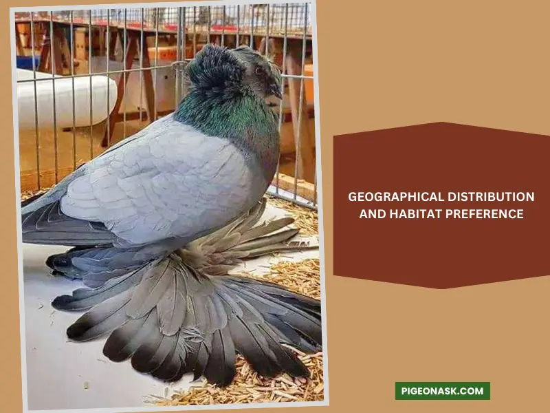 Geographical Distribution and Habitat Preference