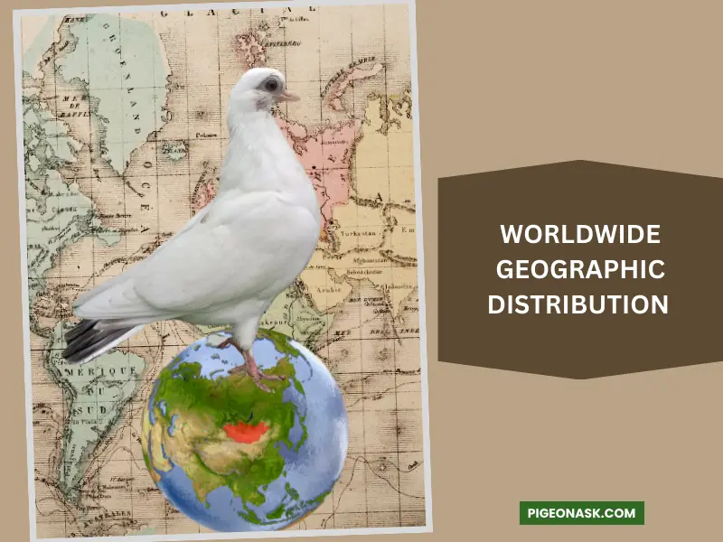 Worldwide Geographic Distribution