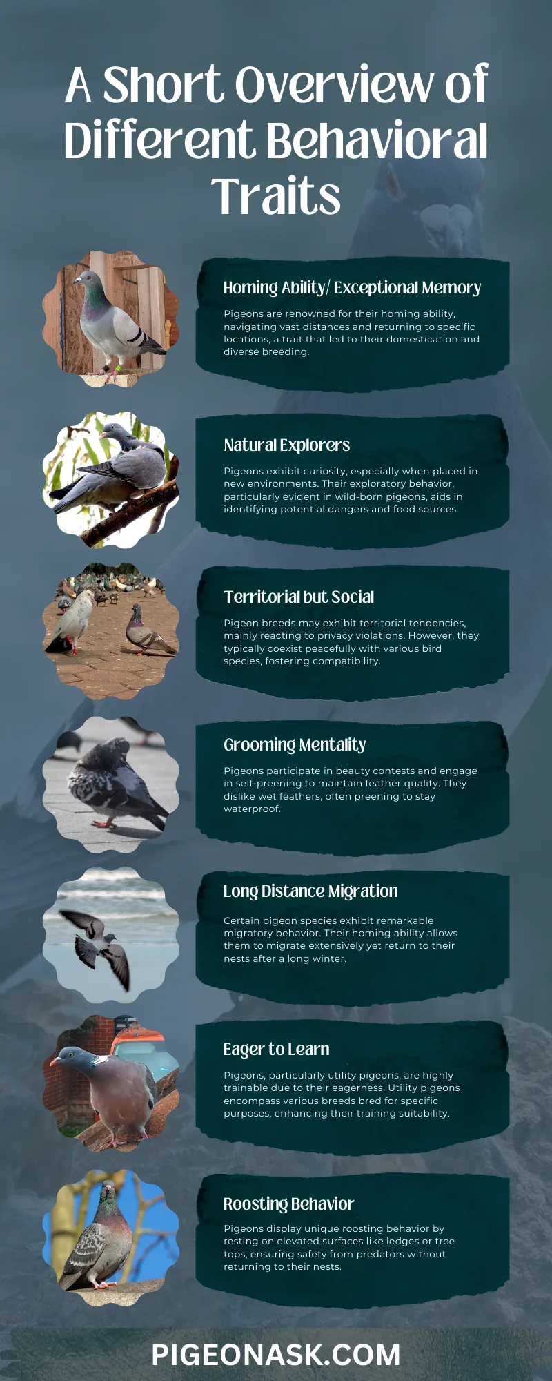 A Short Overview of Different Behavioral Traits