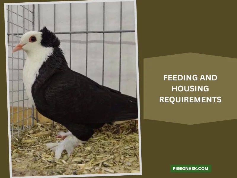 Feeding and Housing Requirements