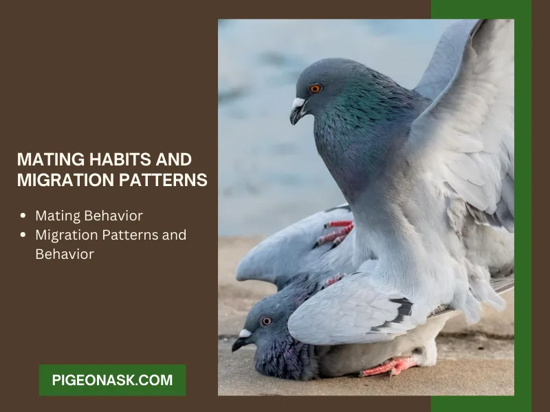Mating (Breeding) Habits and Migration Patterns