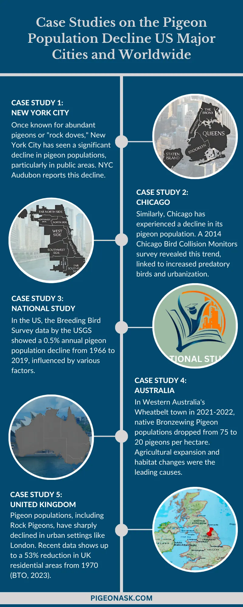 Case Studies on the Pigeon Population Decline US Major Cities and Worldwide