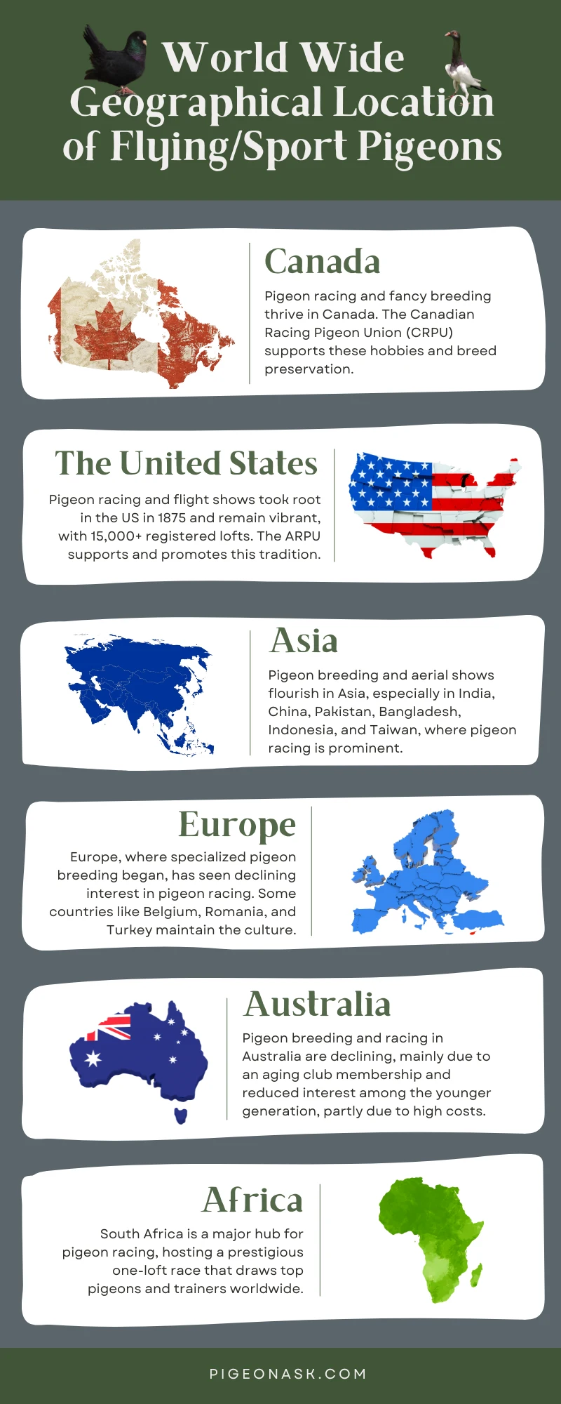 Geographic Distribution of Flying Sport Pigeons Across the World