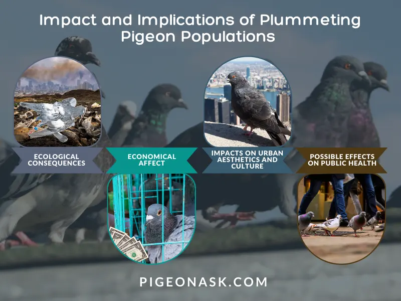 Impact and Implications of Plummeting Pigeon Populations