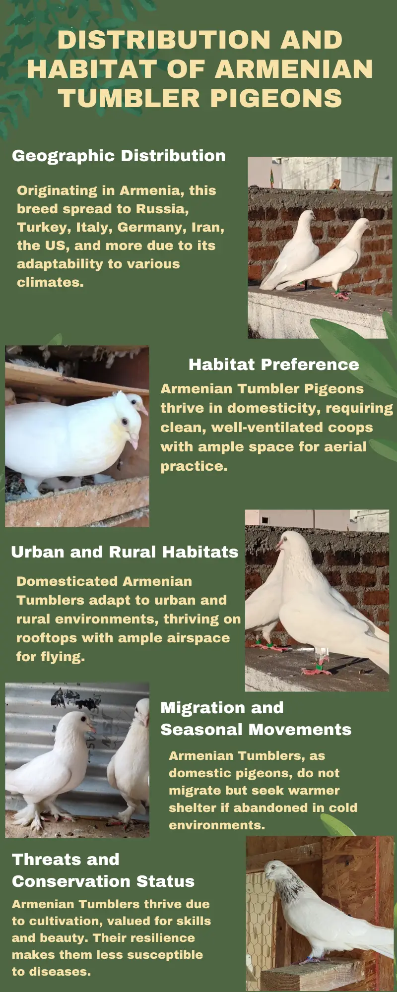 Distribution and Habitat.