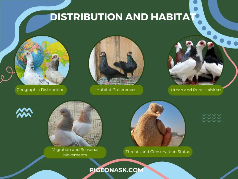 Distribution and Habitat