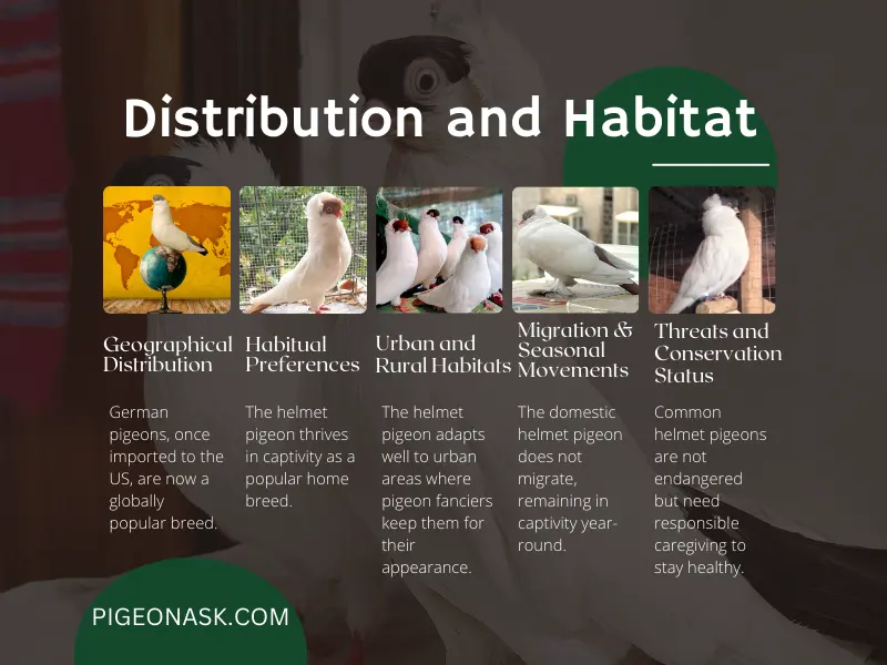 Distribution and Habitat