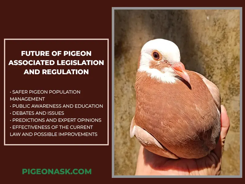 Future of Pigeon Associated Legislation and Regulation