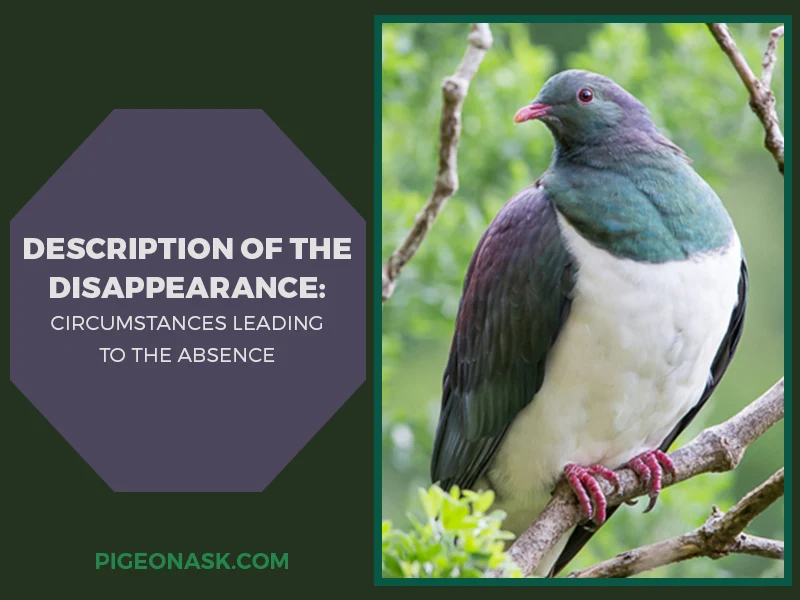 Description of the Disappearance – Circumstances Leading to the Absence