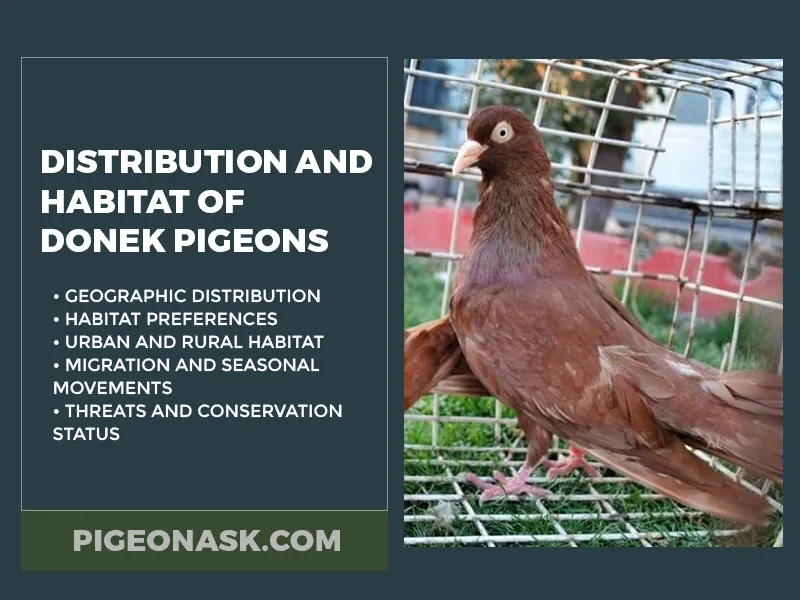 Distribution and Habitat of Donek Pigeons