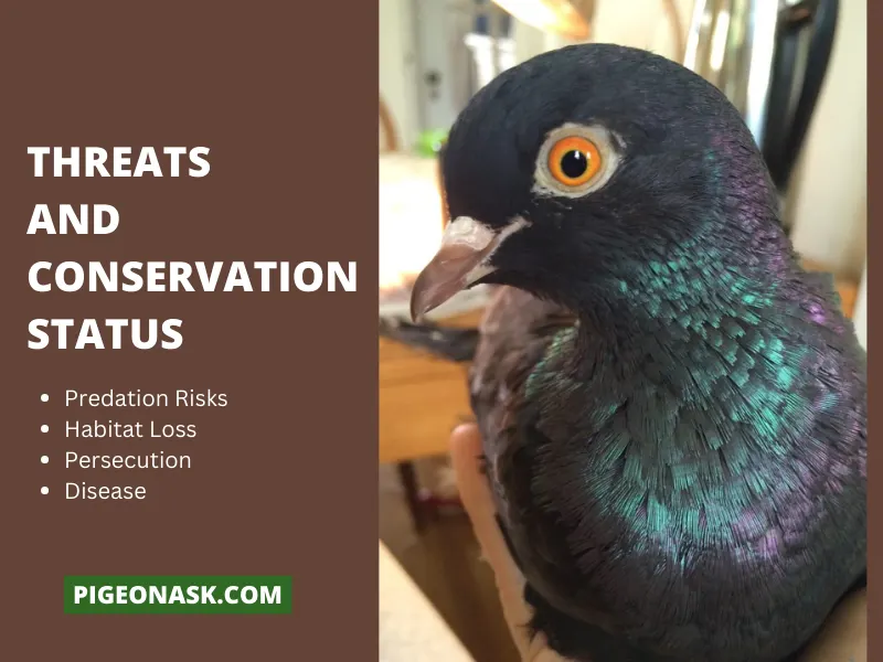 Threats and Conservation Status