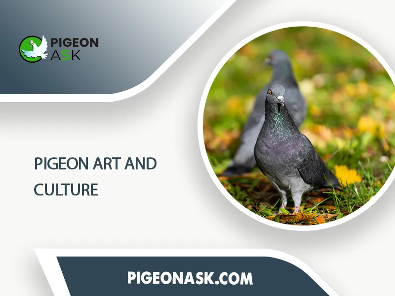 Pigeon Art and Culture 